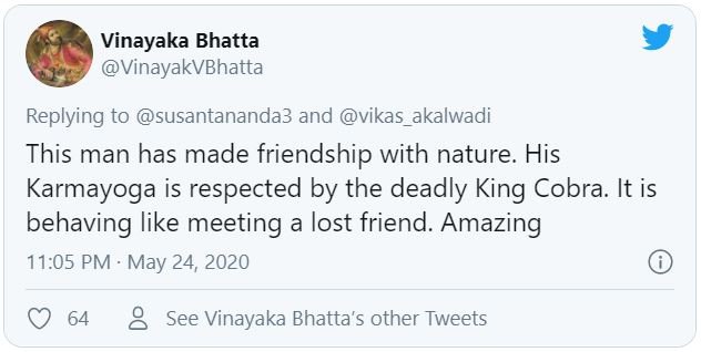 Man Bath Snake King Cobra 1