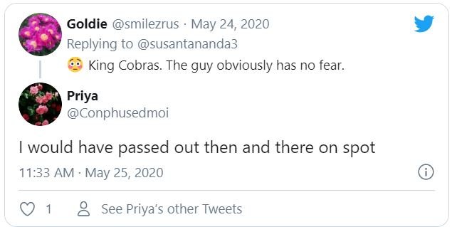 Man Bath Snake King Cobra 3