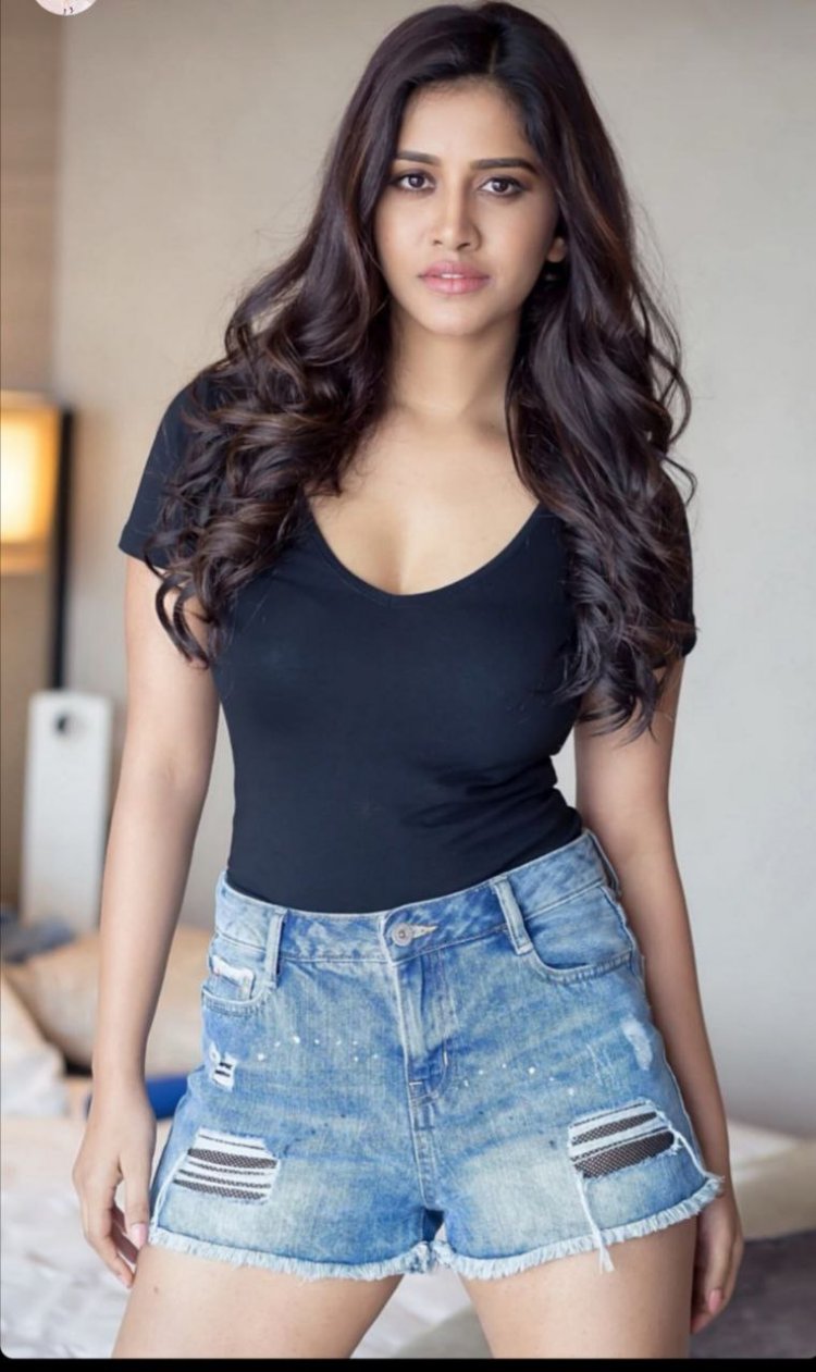 Nabha Natesh Hot 13