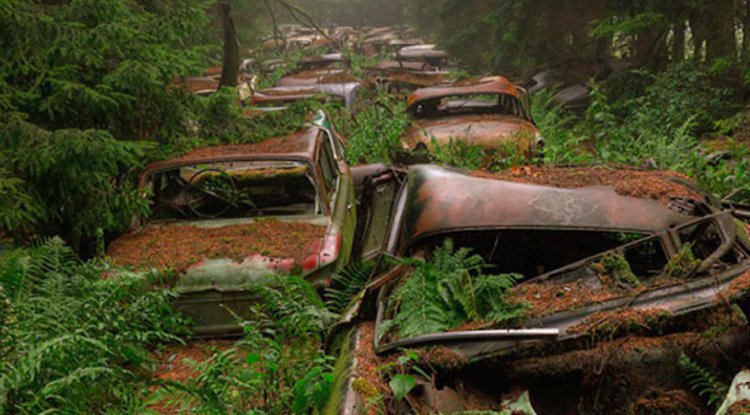 Chatillon Car Graveyard In Belgium 3