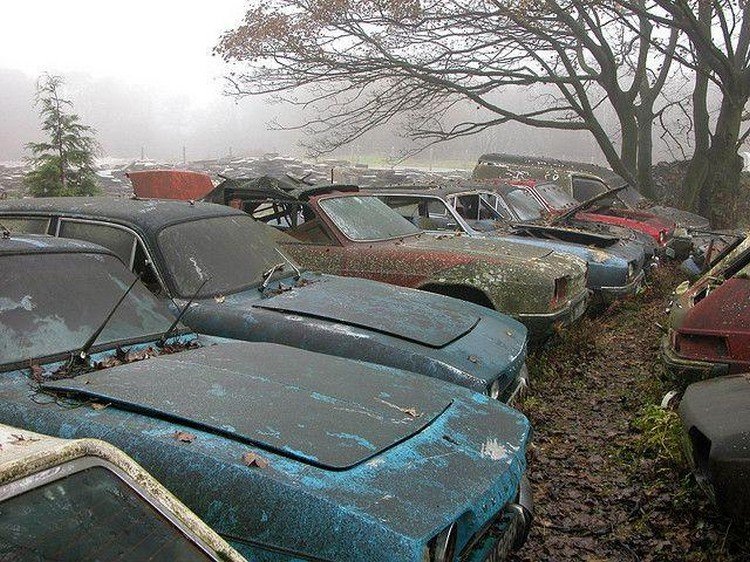 Reliant Scimitar Graveyard In England 3