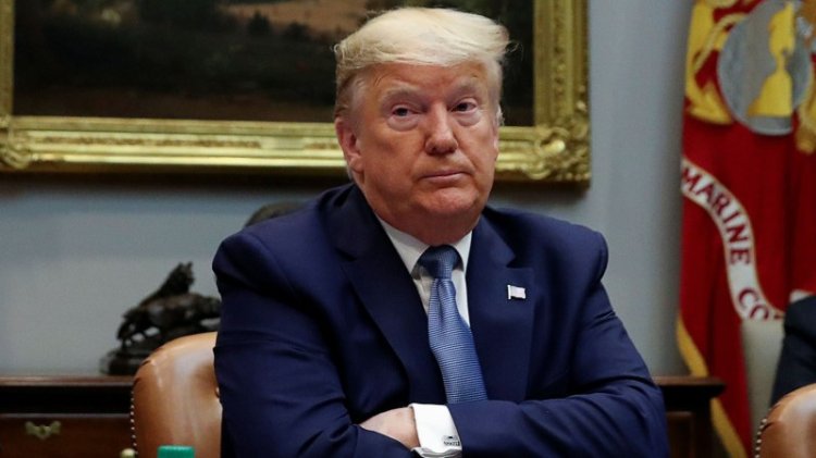 Trump Now