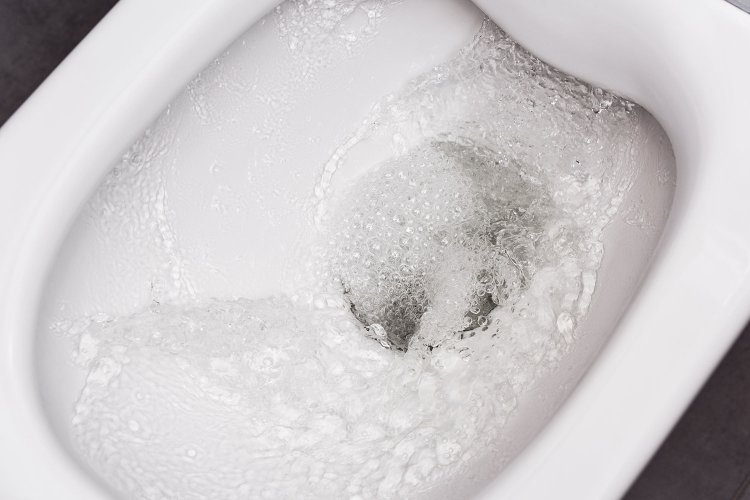Toilet Flush Spread Coronavirus 1