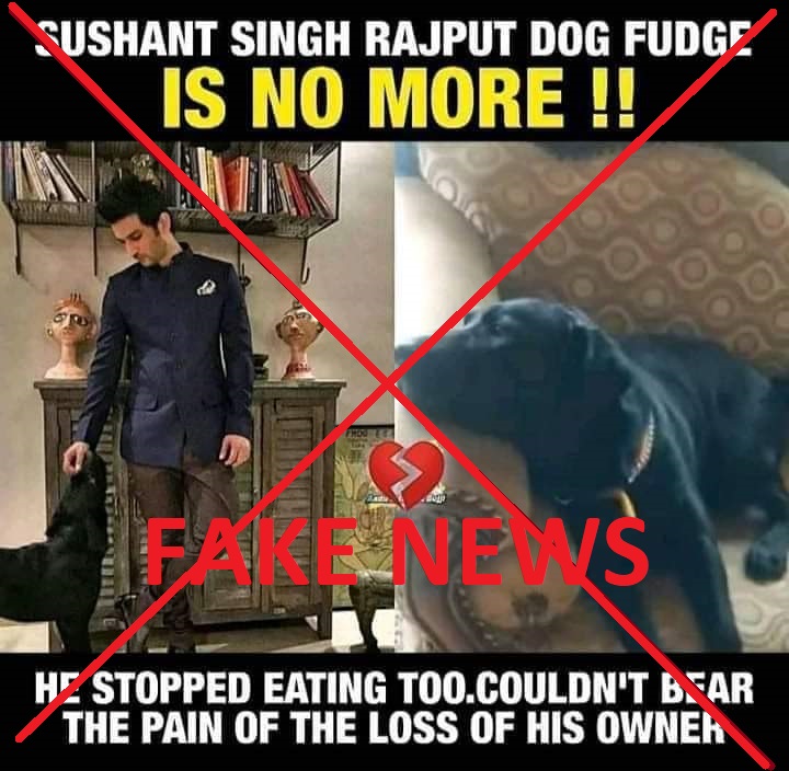 Sushant Singh Rajput Dog 1