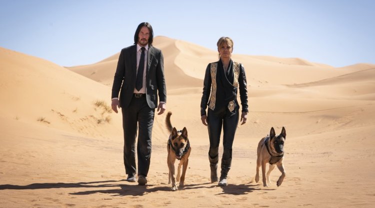 John-Wick-3-Movie-Download-In-Hindi-4