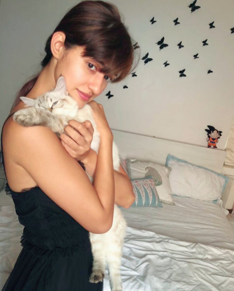 Disha-Patani-house-7