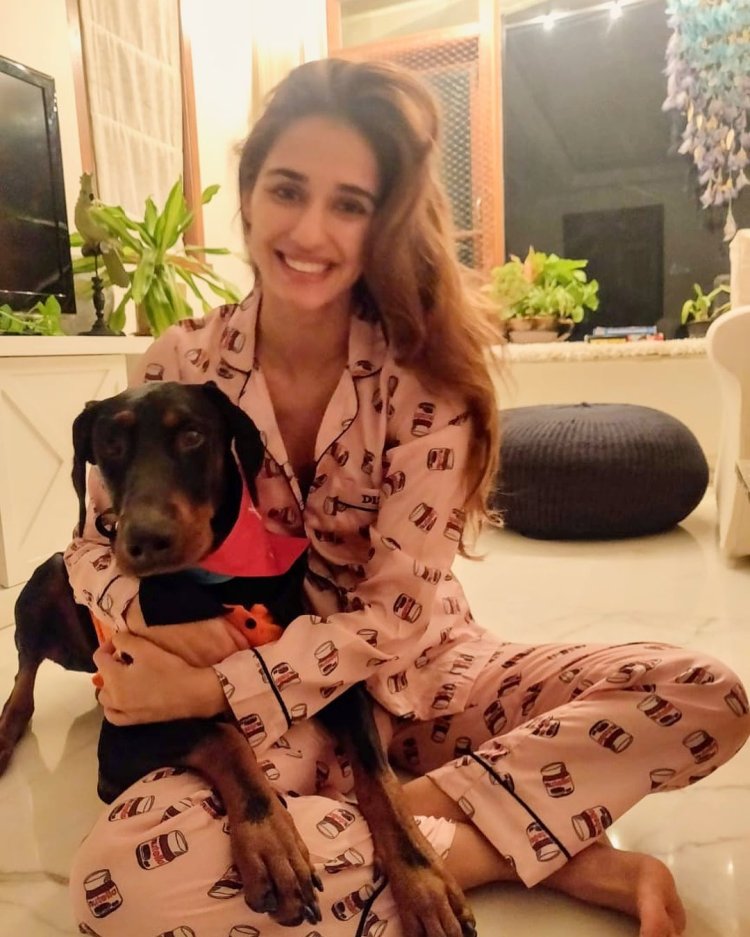 Disha-Patani-house-4