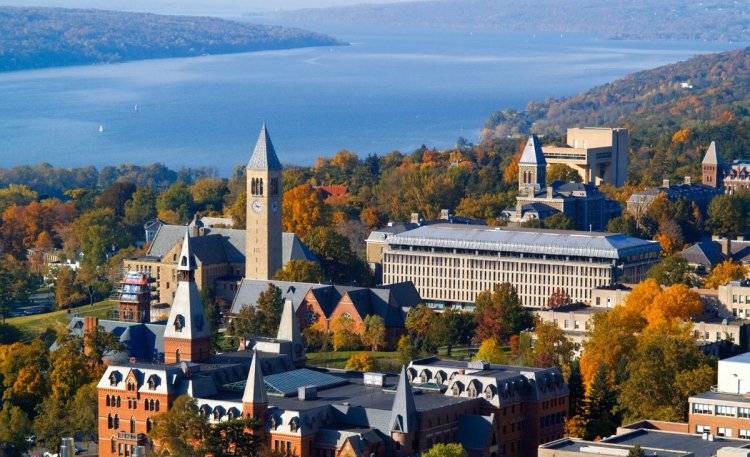 Cornell