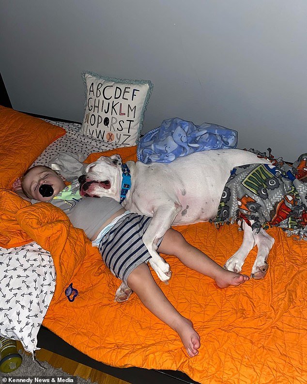 Boy Sleeps With Dog 5