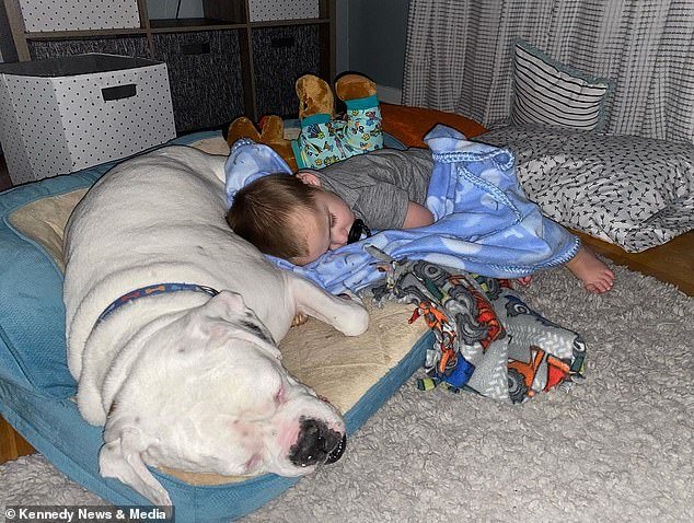 Boy Sleeps With Dog 6