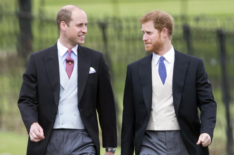 Princes Harry And William