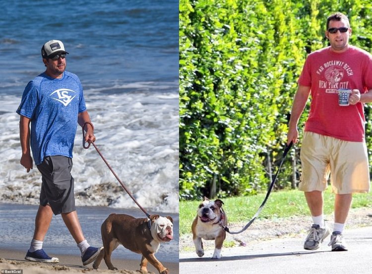 Normal-moments-of-celebs