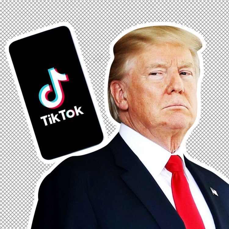 Microsoft Continues Negotiating To Buy Tiktok After Trump's 45-Day ...