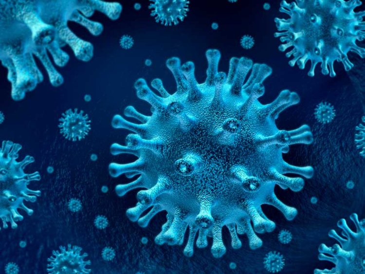 Coronavirus In Frozen Food