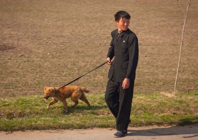 Kim Jong Un Orders North Korean People To Hand Over Pet Dogs Amid Food