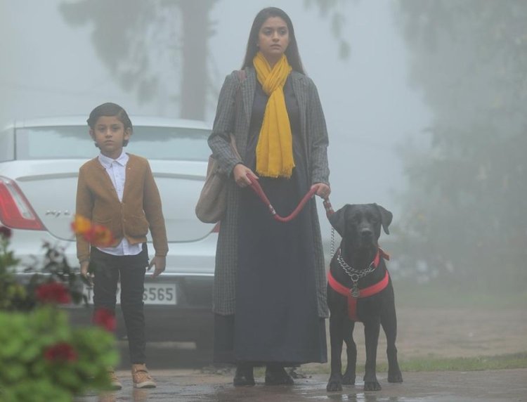 Penguin Movie Free Download In Tamil 2