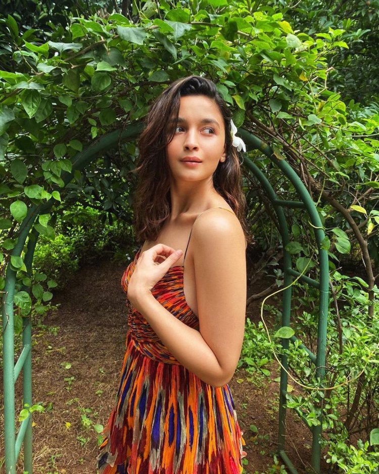Alia Bhatt Trolled 2