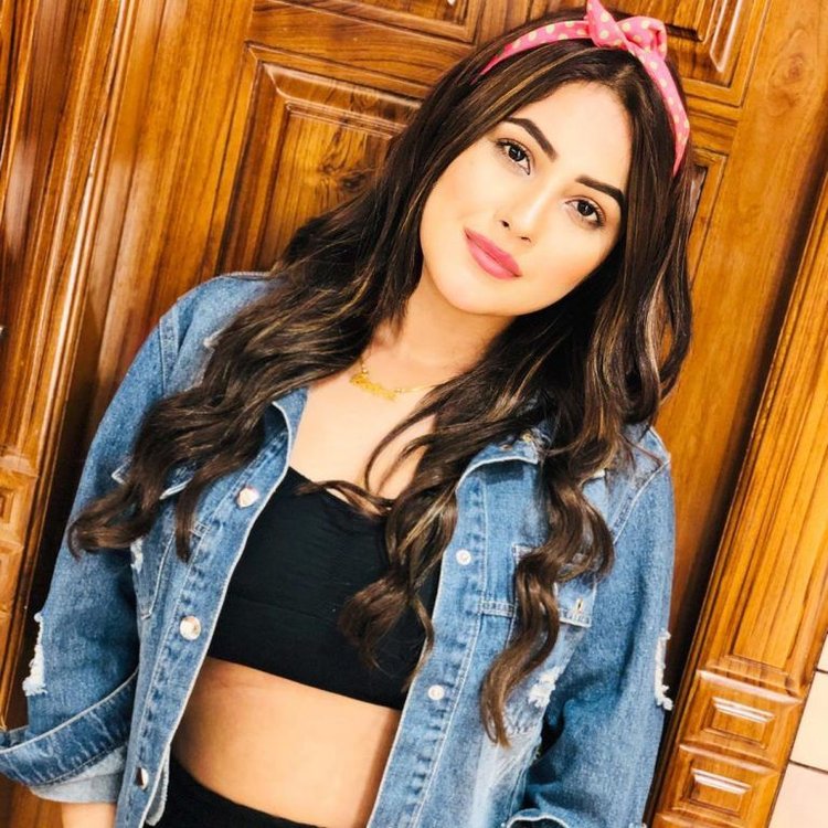 Fans Begging Shehnaaz Gill To Stop Weight Loss But Photos Say Otherwise