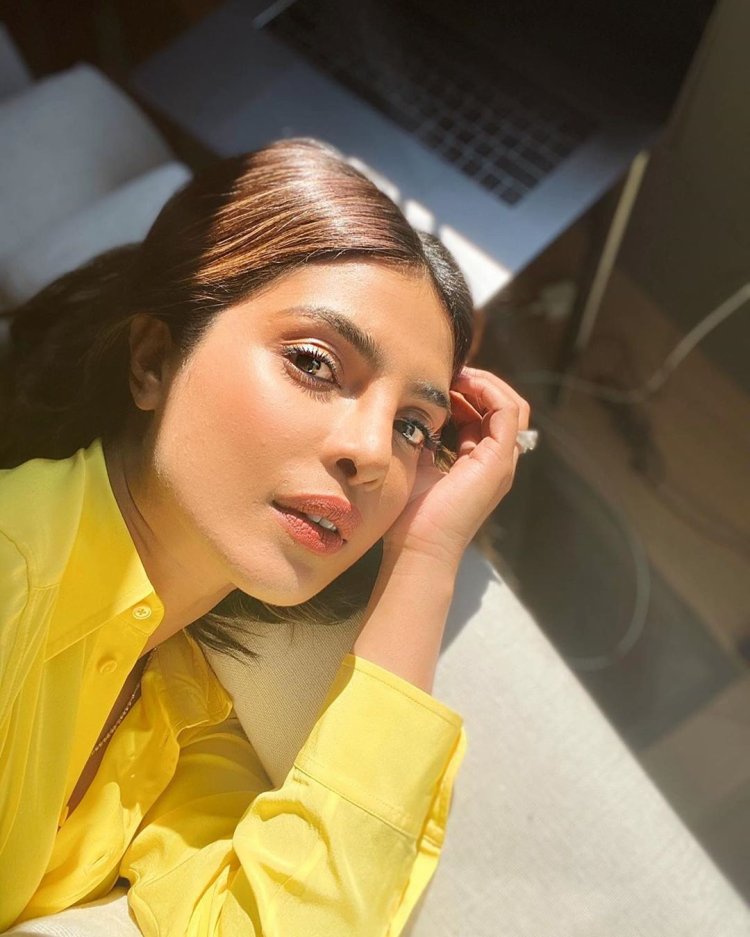 Priyanka Chopra Sun Kissed Photo 5