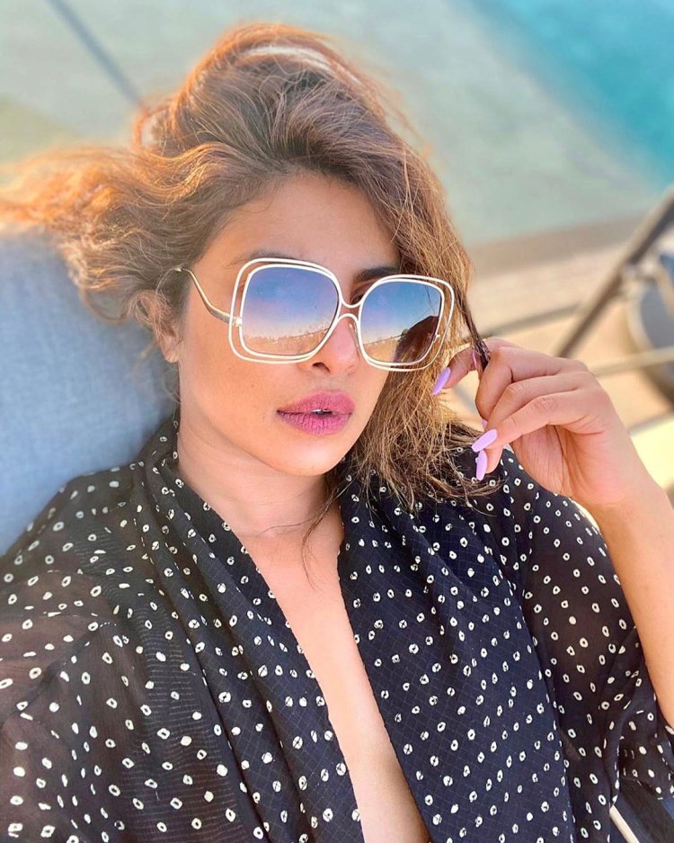 Priyanka Chopra Sun Kissed Photo 7