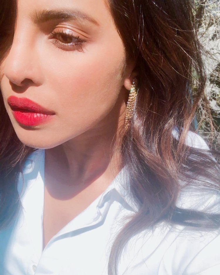 Priyanka Chopra Sun Kissed Photo 8