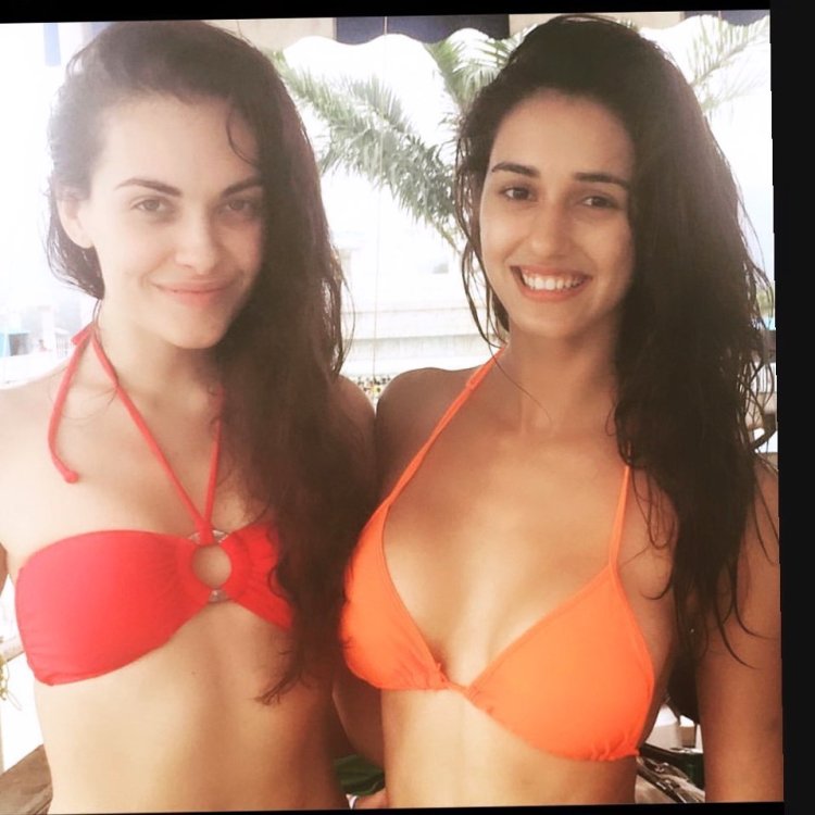 Disha 2