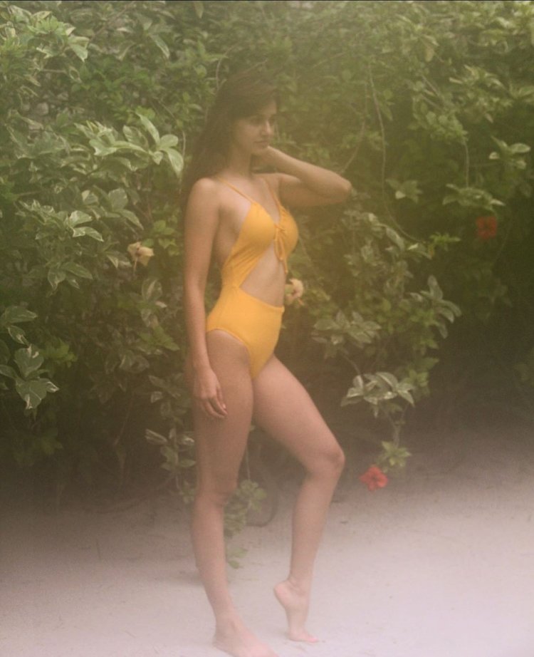 Disha