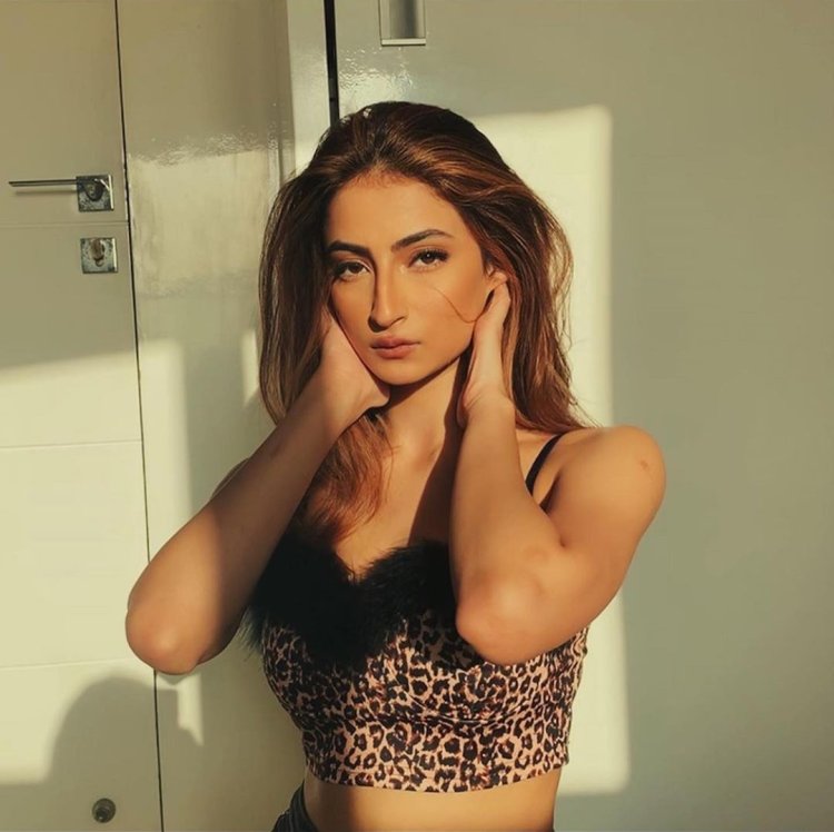 Palak 11
