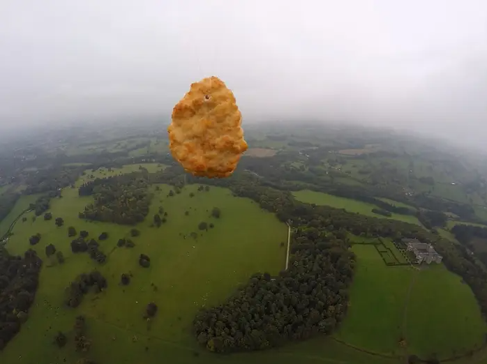 Chicken Nugget