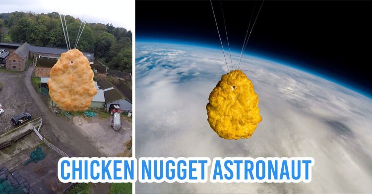 Chiken Nugget