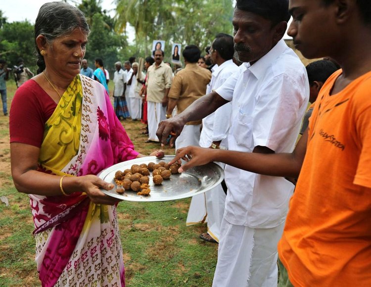 South Indian Celebrate Kamala Harris Victory 5