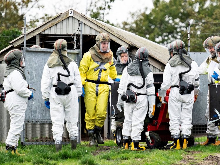 Health Officials At A Mink Farm In Denmark