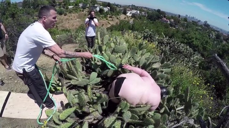 Cyclist And Cactus 3