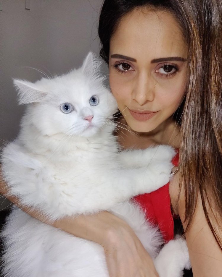 Chhalaang Star Nushrat Bharucha Animal Lover