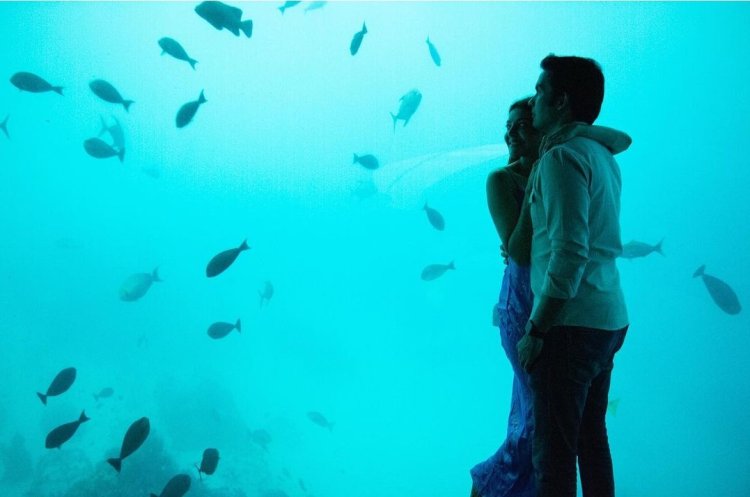 Kajal Aggarwal And Gautam Kitchlu Honeymoon 5