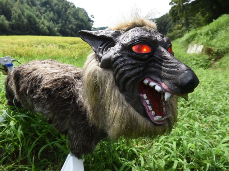 Japanese Monster Wolf Robot 1