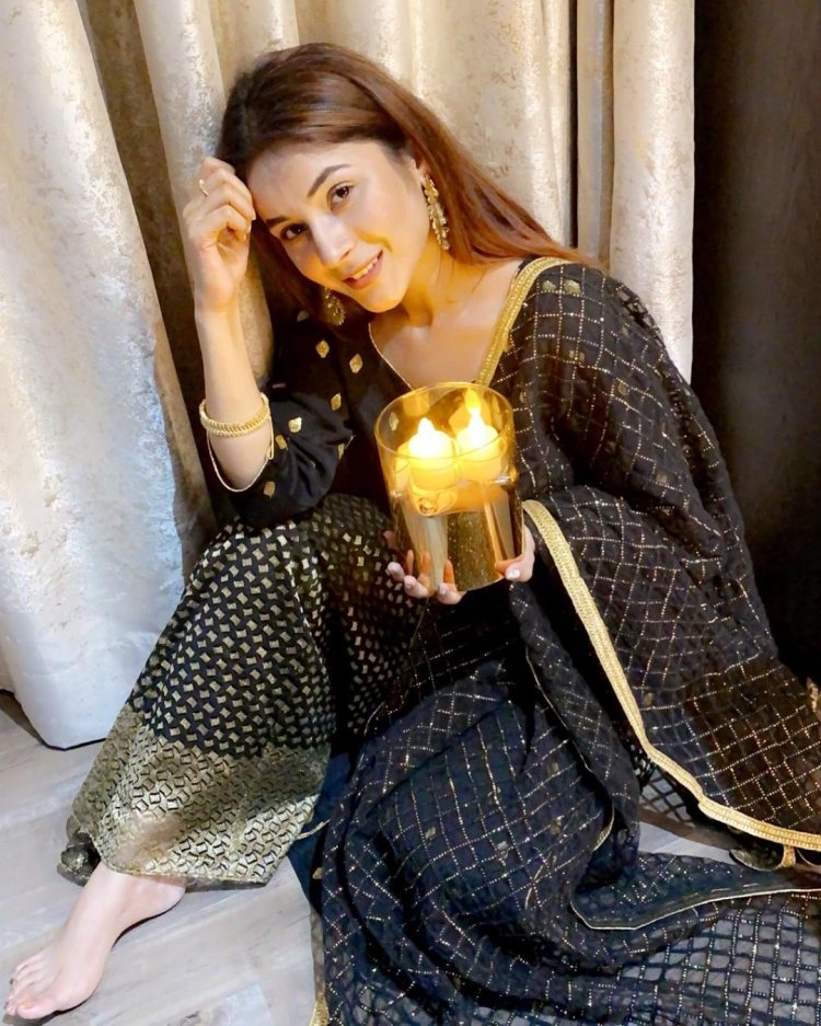 Shehnaaz Gill 5