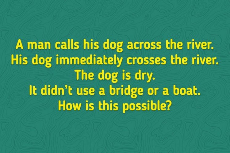 Brain Teaser 6