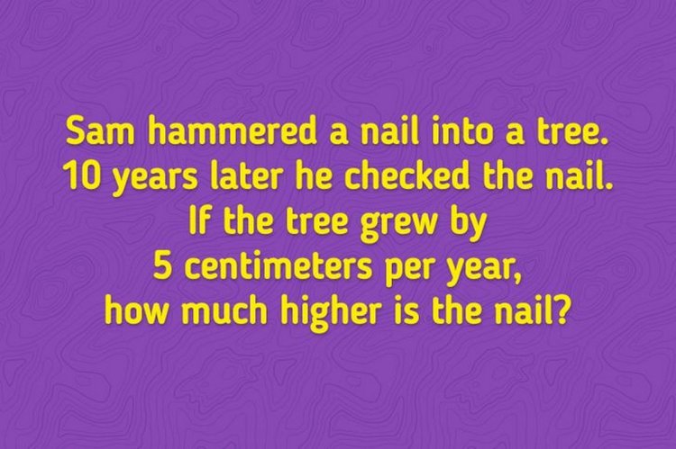 Brain Teaser 7