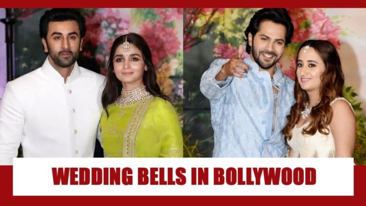 Varun Dhawan And Natasha Dalal Alia Bhatt Ranbir K