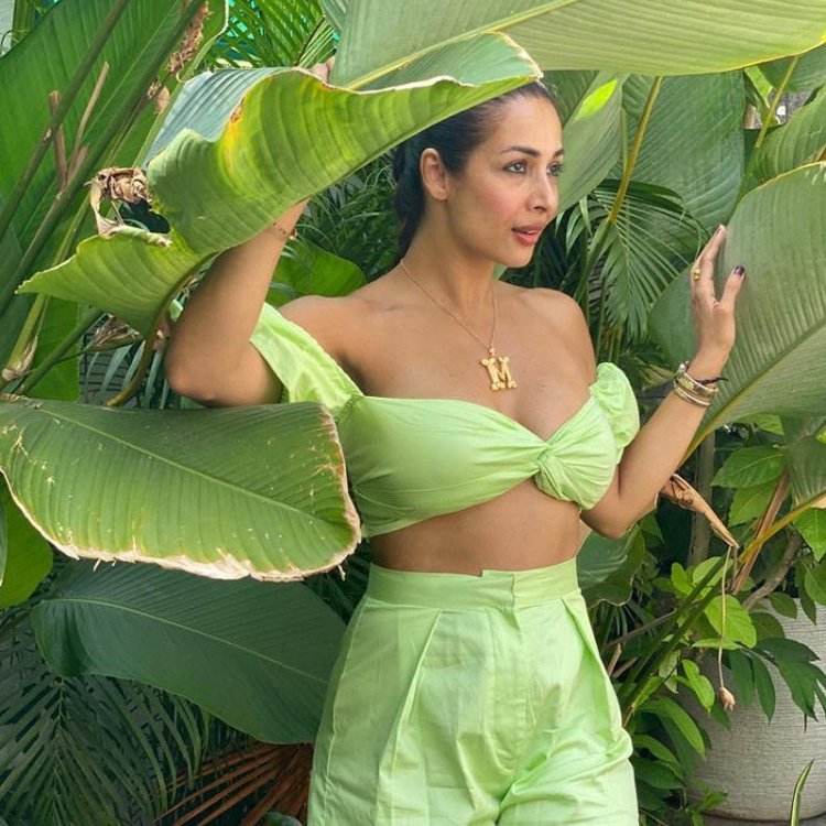 Malaika 6