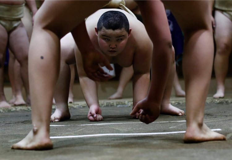 Kyuta Sumo Training 1