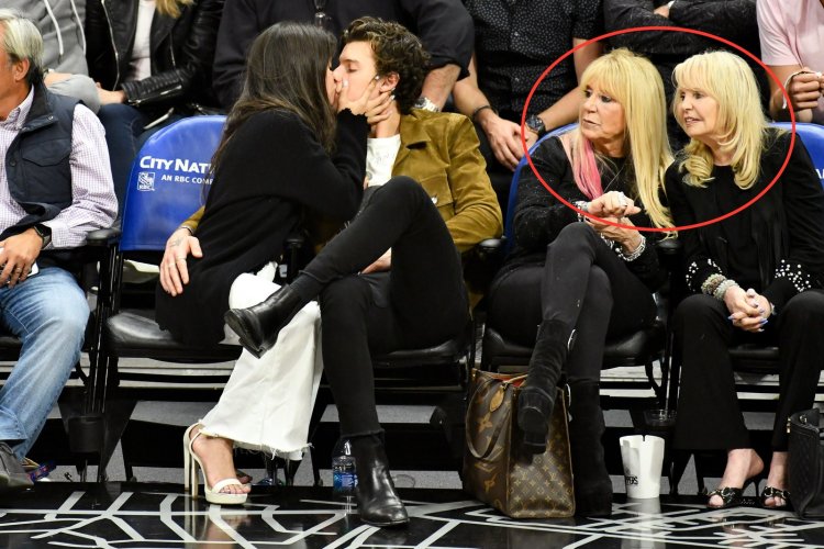 Camila Cabello Shawn Mendes Relationship 2
