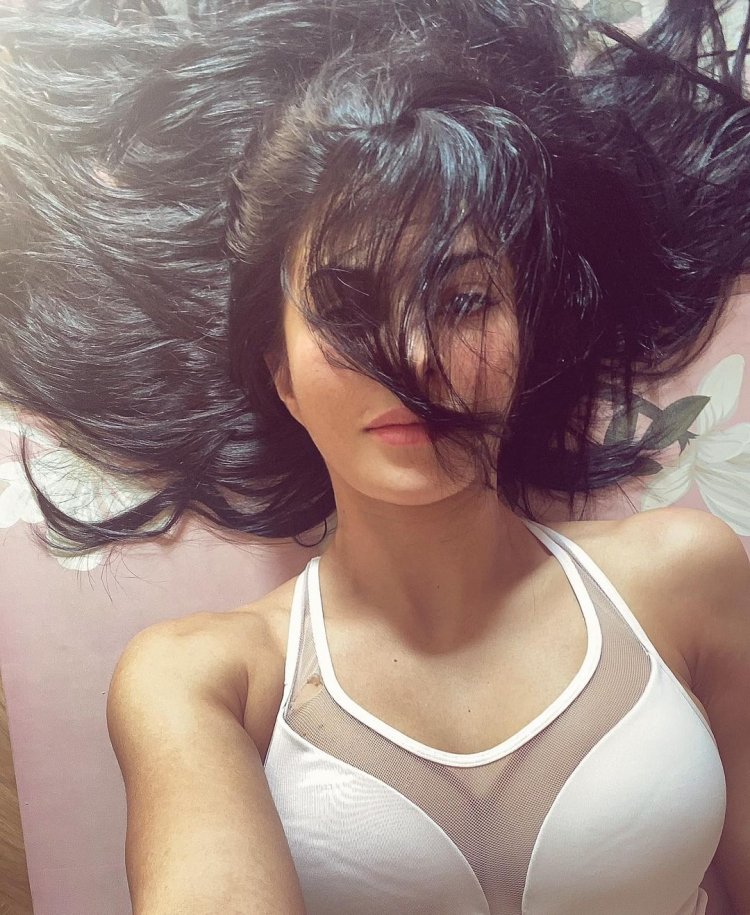 Jacqueline Fernandez Seflie 2