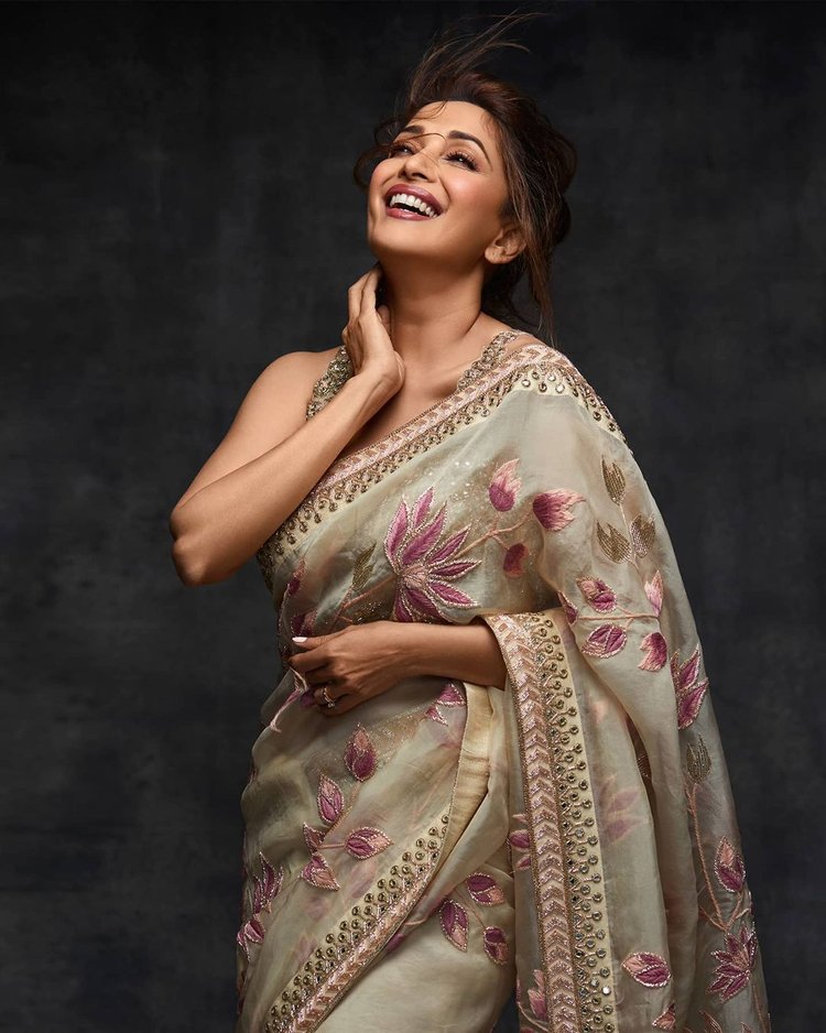 Madhuri Dixit In Arpita Mehta