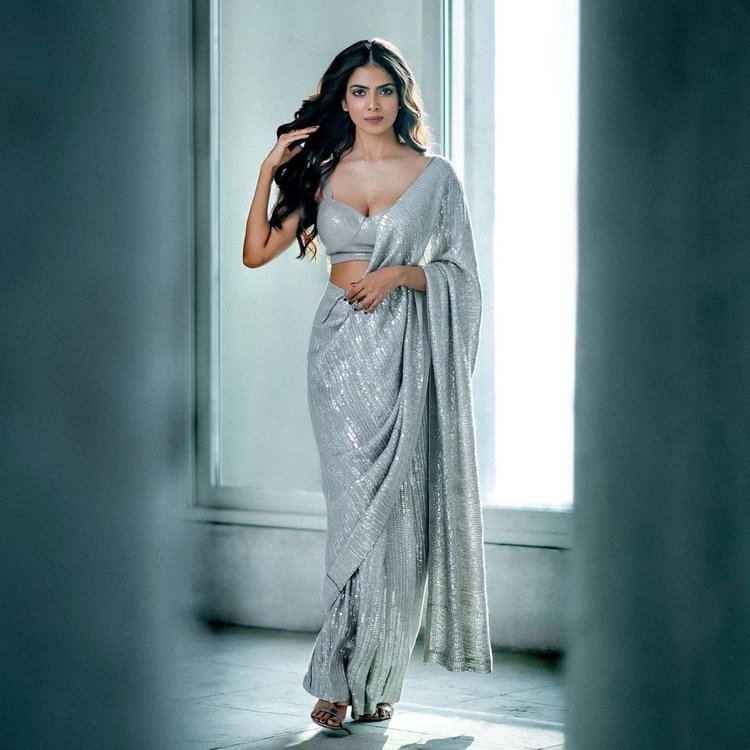 Malavika Mohanan Instagram Pics 4