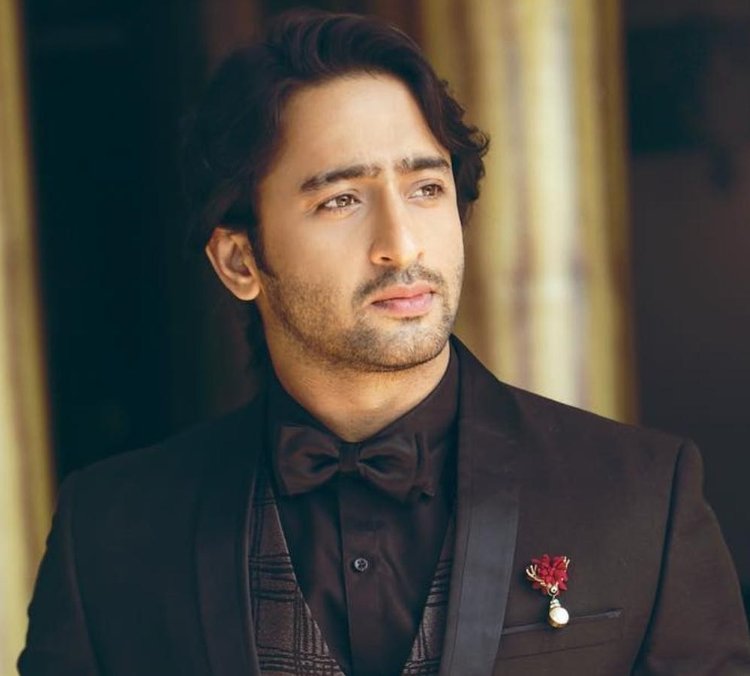 Shaheer Sheikh