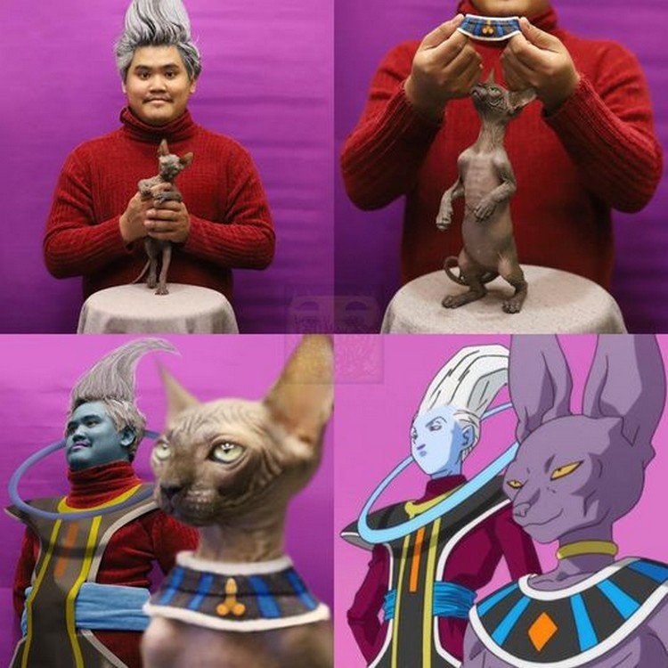 Beerus Low Cost Cosplay