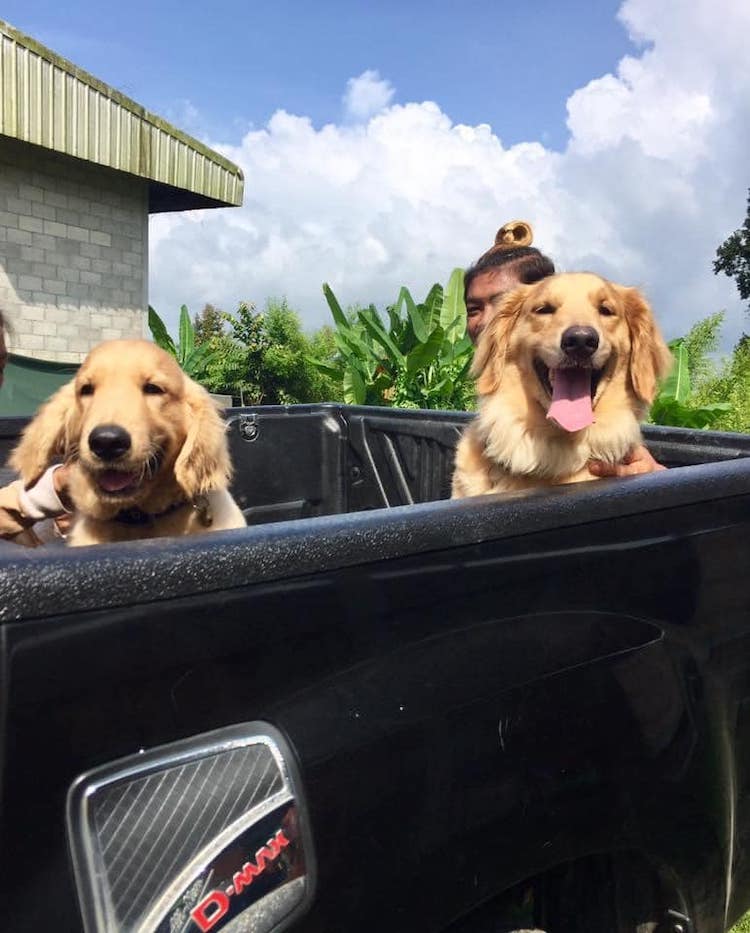 Jubjib And Friends