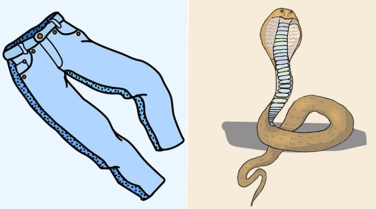 cobra in man's pants